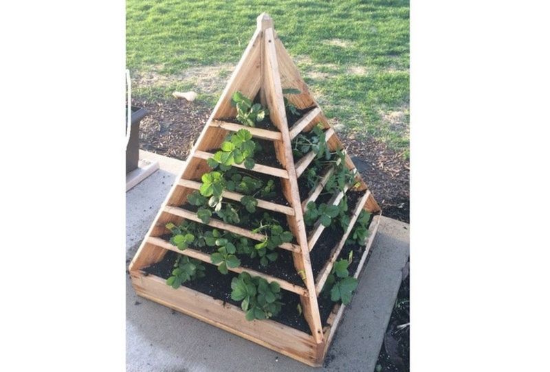 5. Pyramid Planter Technique