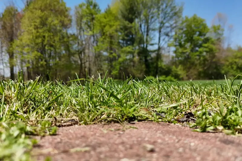 5. Exposes Soil To Erosion
