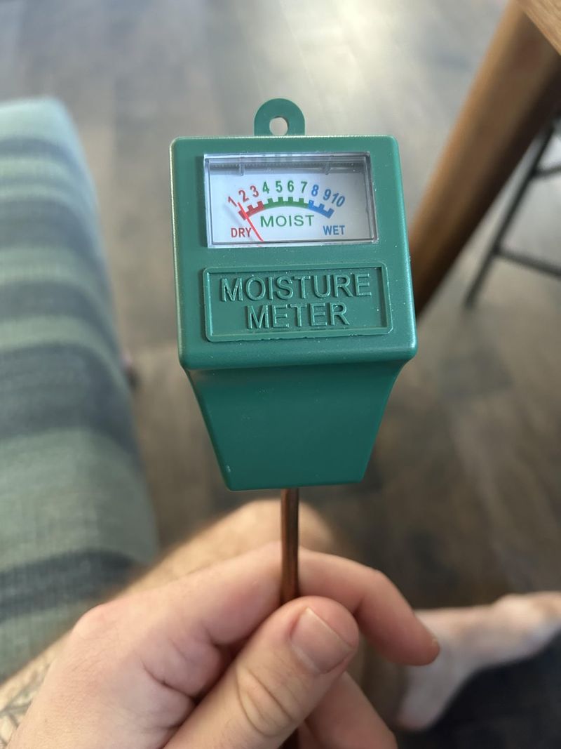 5. Forgetting To Check Soil Moisture