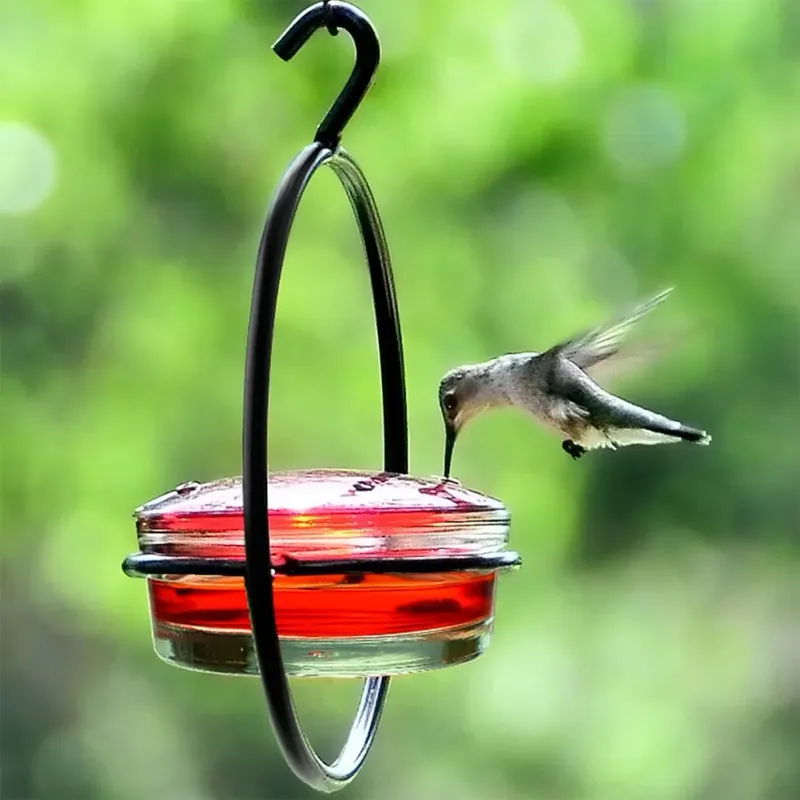 6. Natural Feeding Position