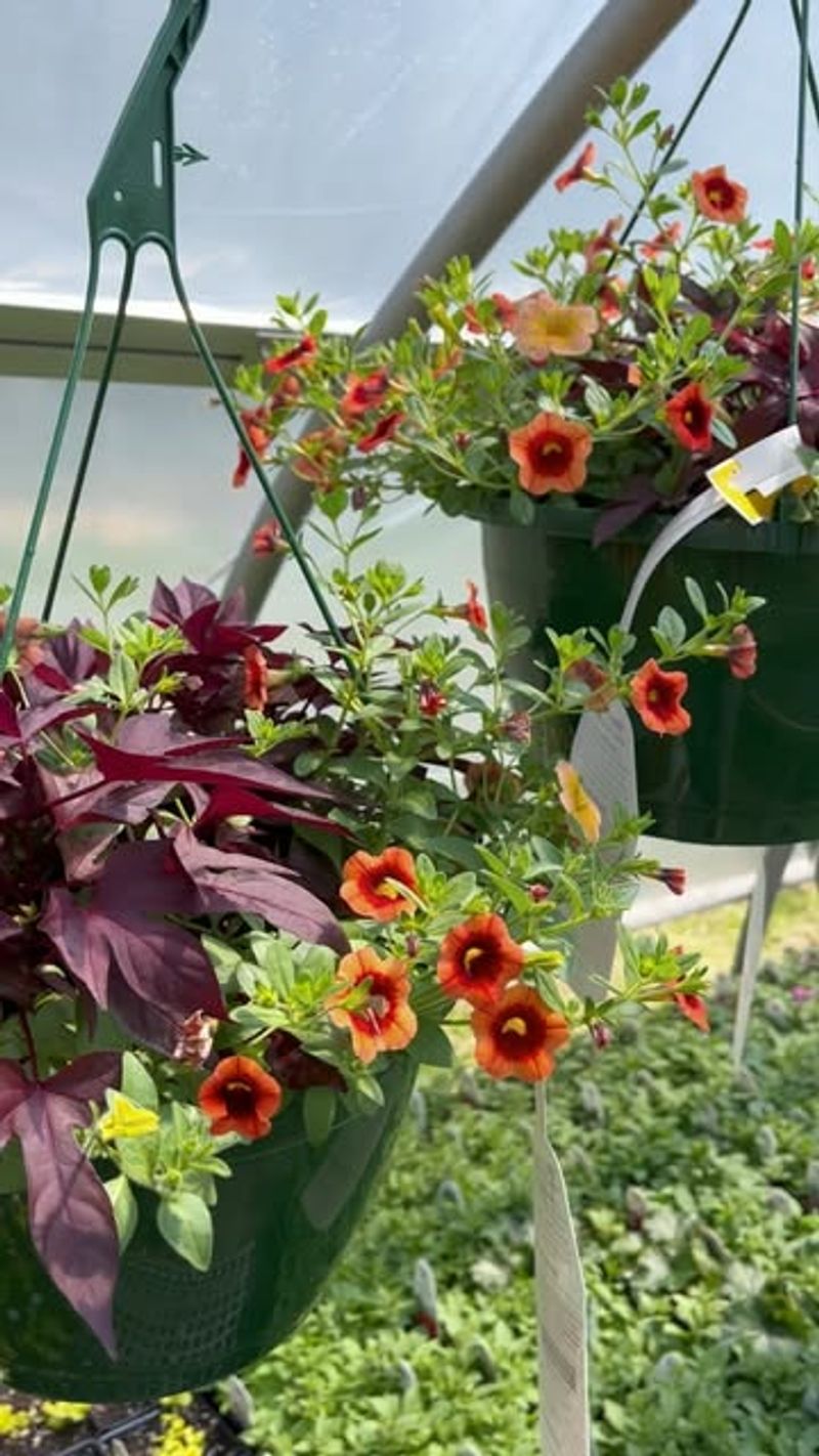 6. Ignoring Weather Changes