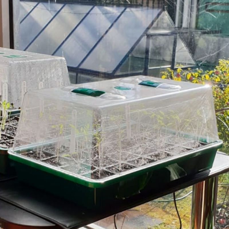 6. Create A Mini-Greenhouse Effect