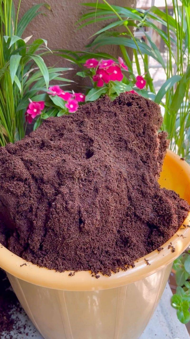 6. Add Organic Matter To Soil