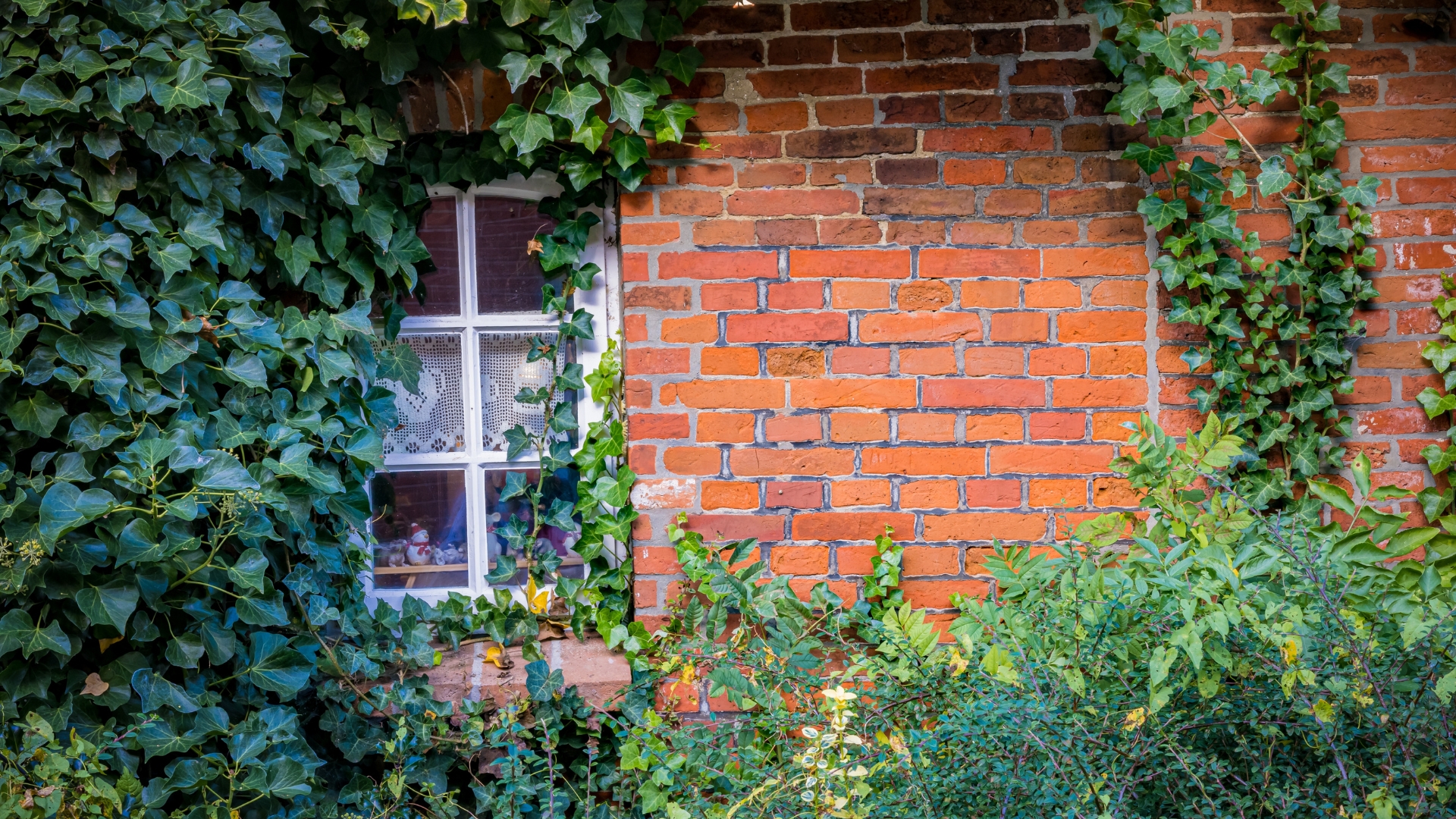 6 Reasons To Ditch English Ivy Before It Takes Over (Plus Gorgeous Ground Covers That Won’t Cause Chaos)