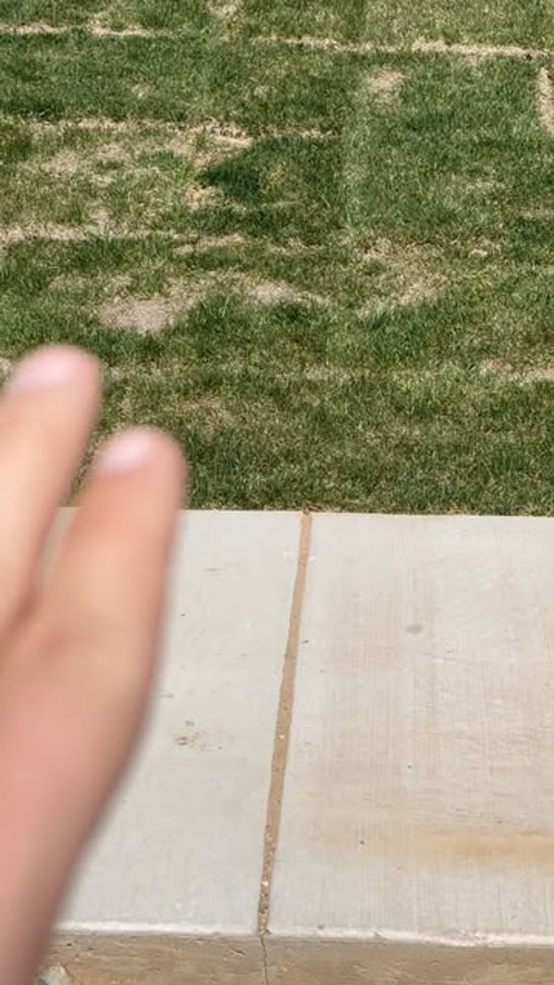 7. Creating Gaps Between Sod Pieces