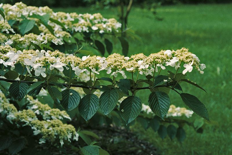 7. Weather Conditions Influence Deadheading Benefits