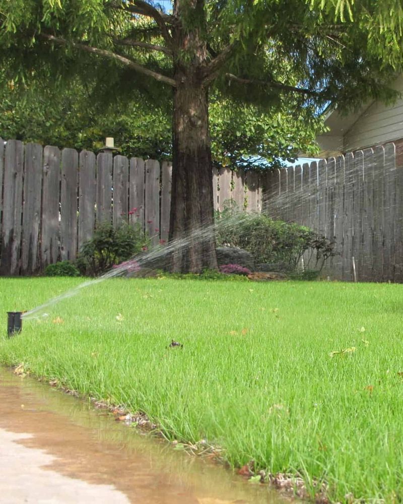 8. Improper Watering After Installation