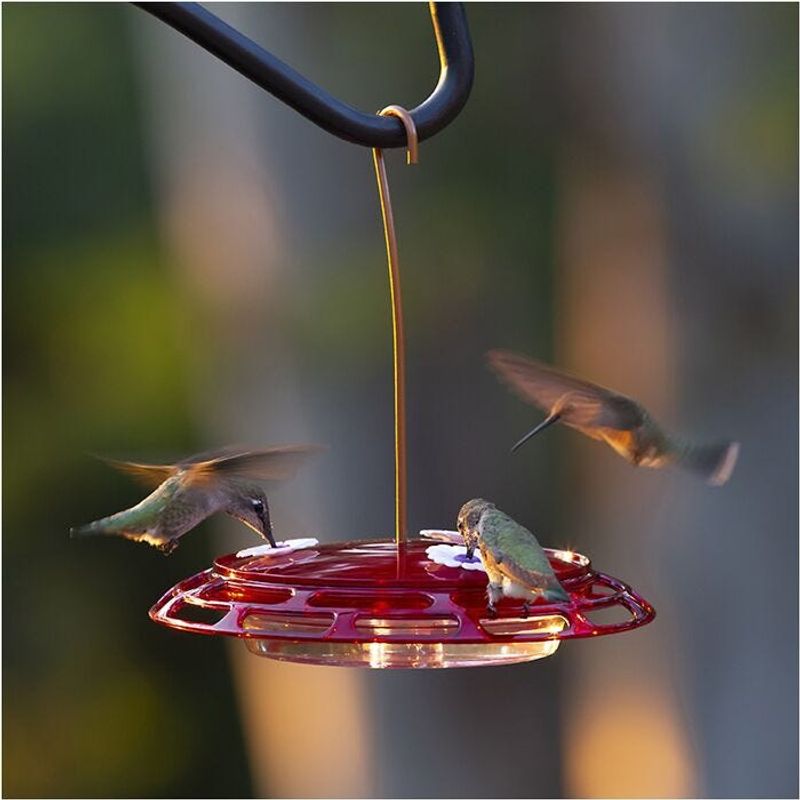8. Multiple Feeding Ports For Bird Harmony