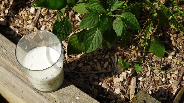 a glass of milk next to a garden plant