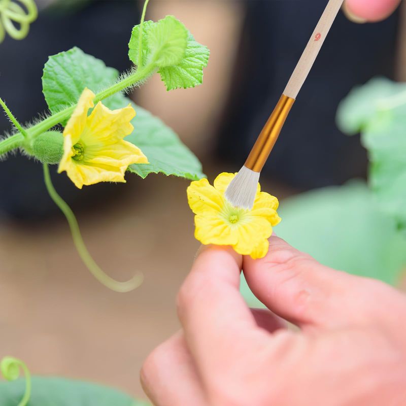 10. Poor Pollination Management