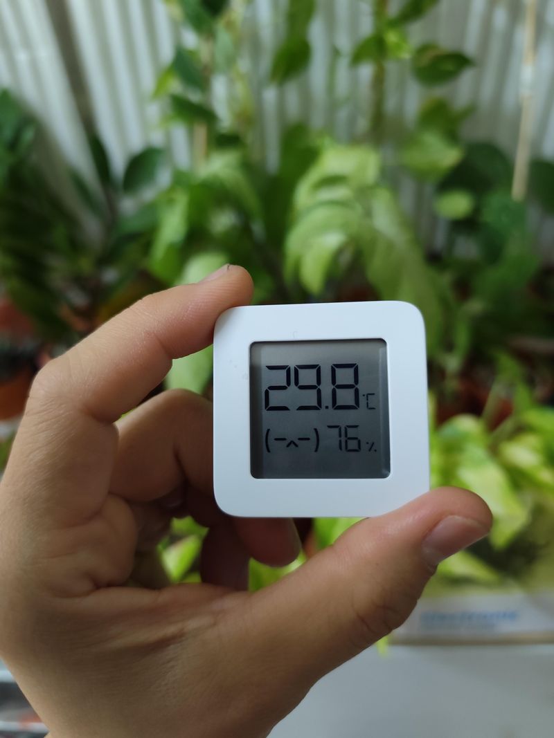 10. Monitor Humidity Levels Carefully