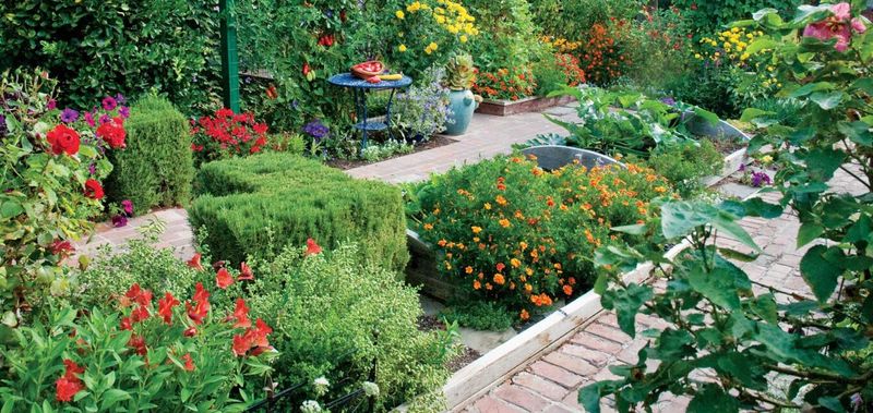10. Companion Plant Benefits