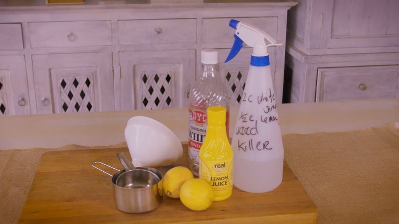 10. Lemon Juice Concentrate