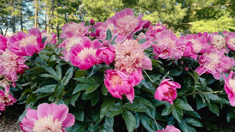10. Common Deadheading Mistakes To Avoid