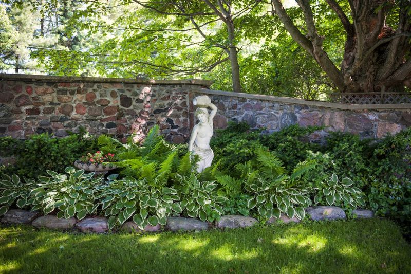 AVOID: Thirsty Hostas