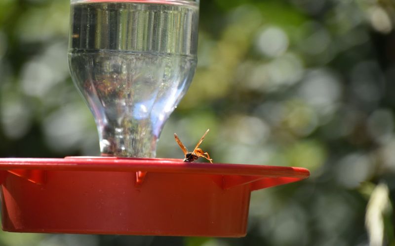 AVOID: Near Pesticide-Treated Areas