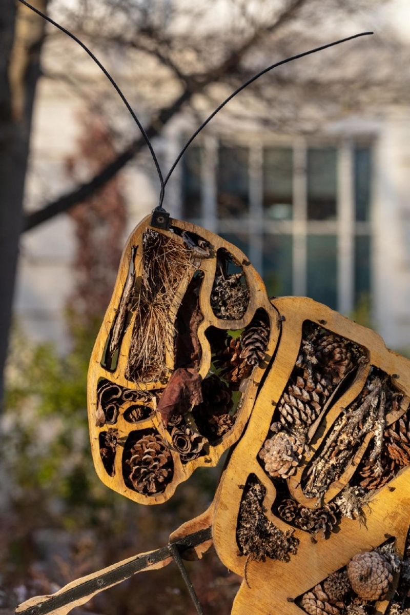 Create Butterfly Hibernation Spots