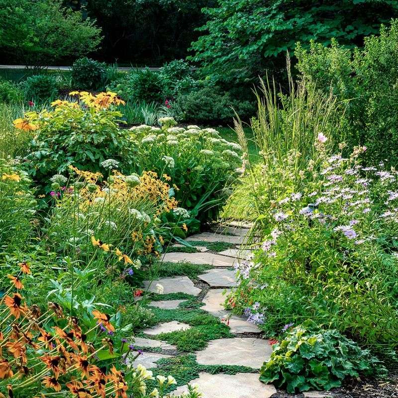 Create Meandering Paths