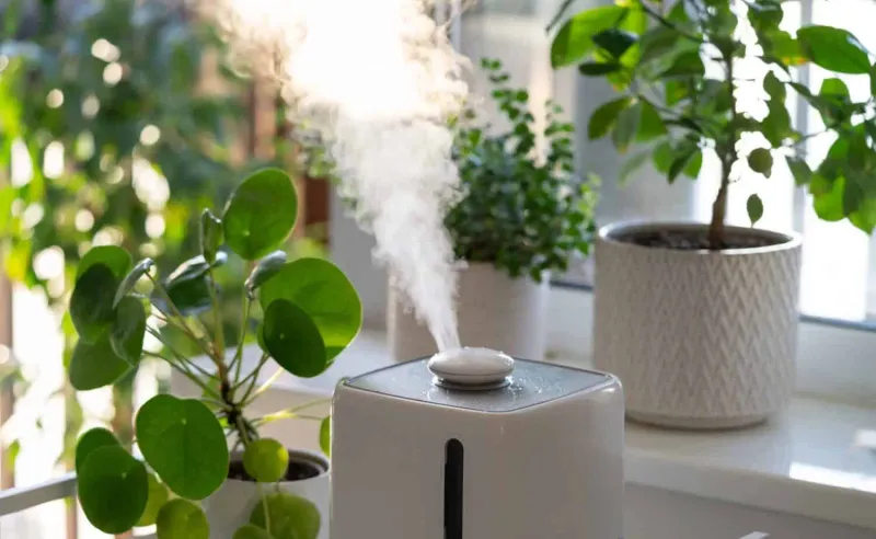Adjust Home Humidity Systems