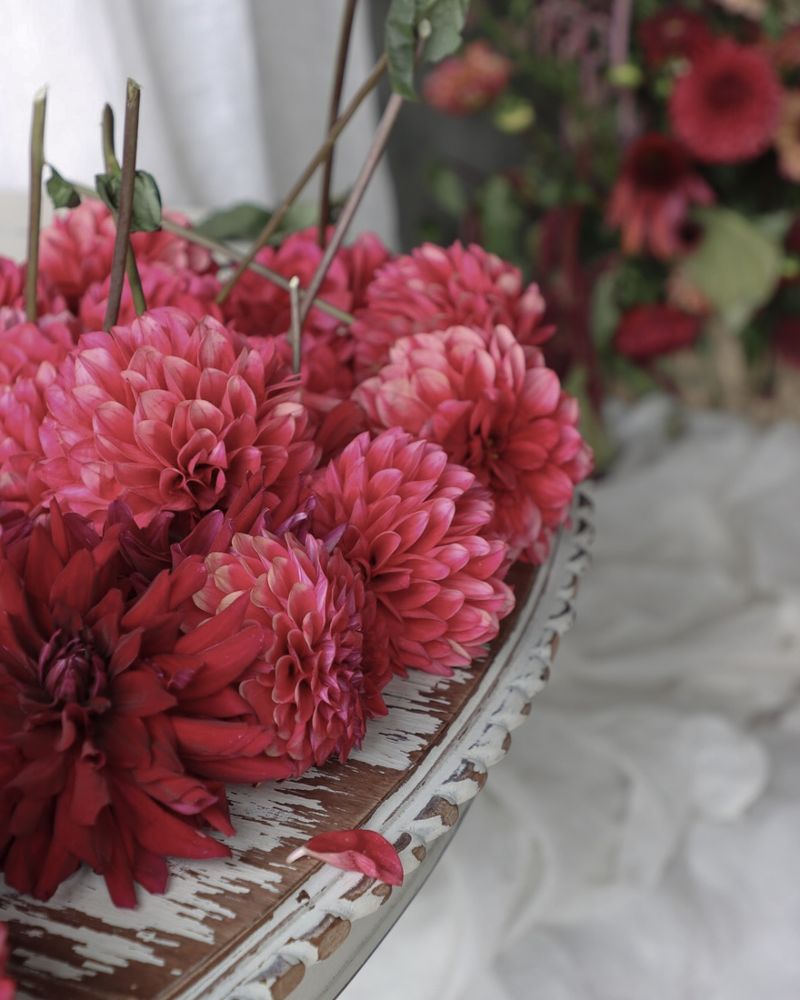 Continue Deadheading Throughout Season
