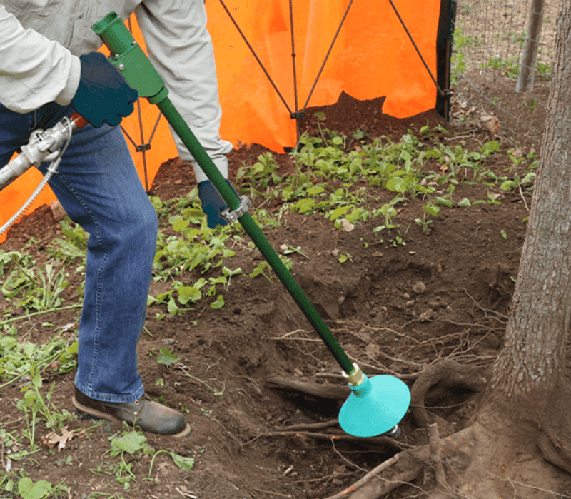 Perform Root Collar Excavation