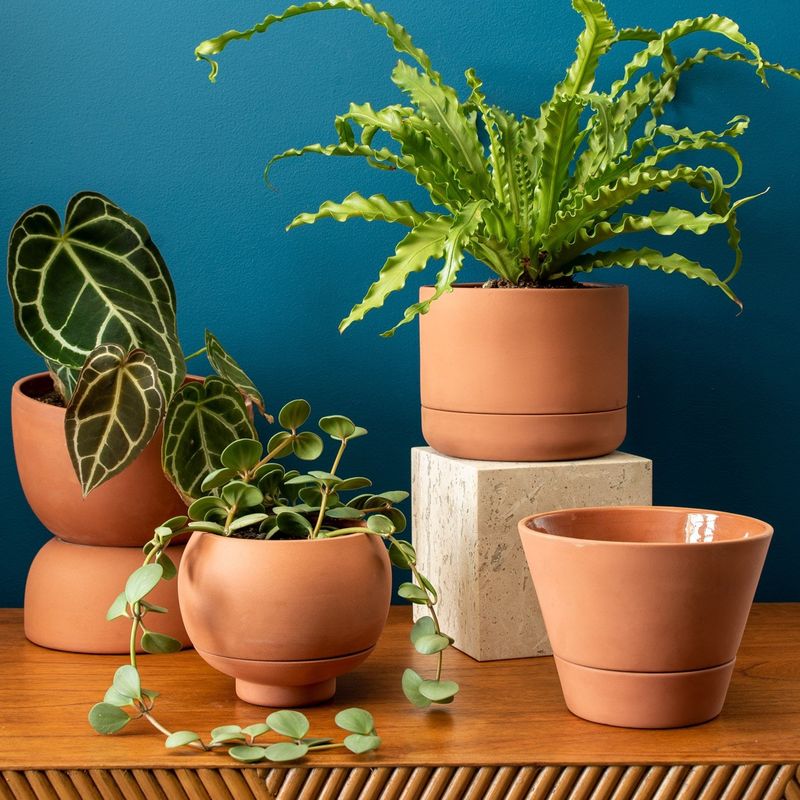 Consider Your Container Material
