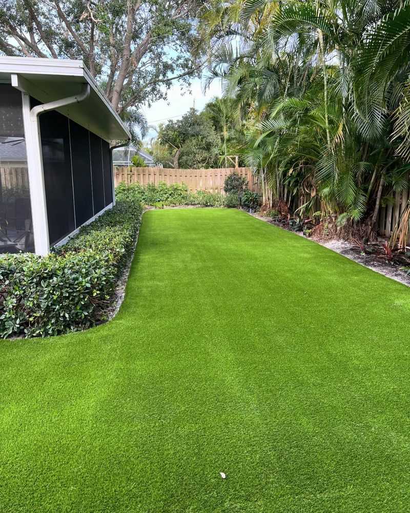 Address Shady Areas Differently