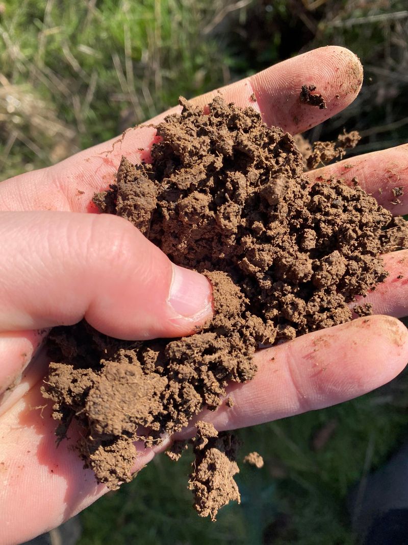 Add Organic Matter to Soil