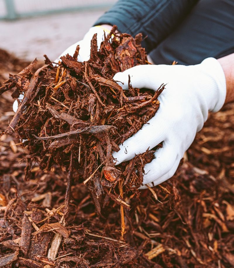 Mulch Volcanoes