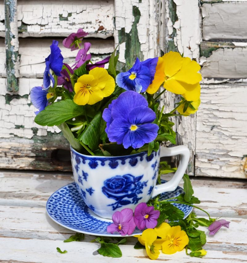 Repurposed Teacup Garden
