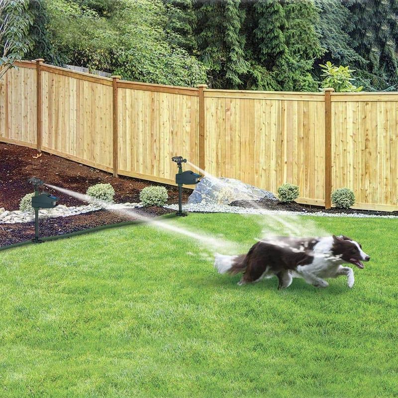 Install Motion-Activated Deterrents