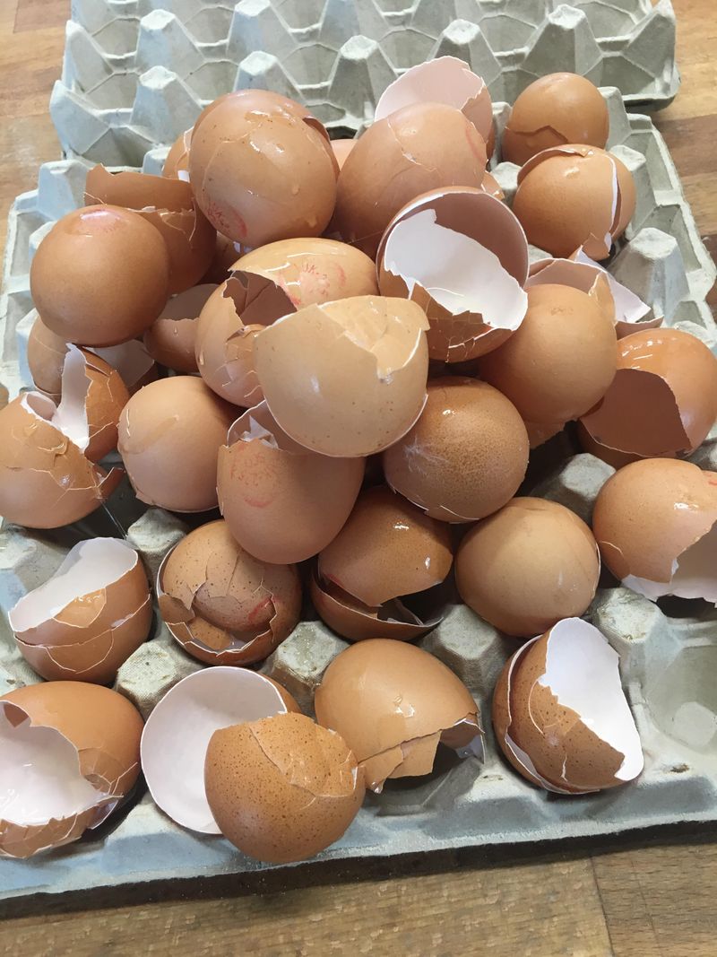Eggshells