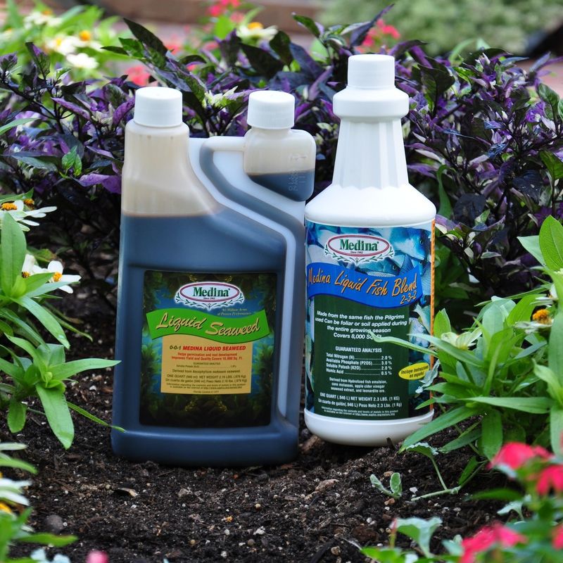 Liquid Seaweed Extract