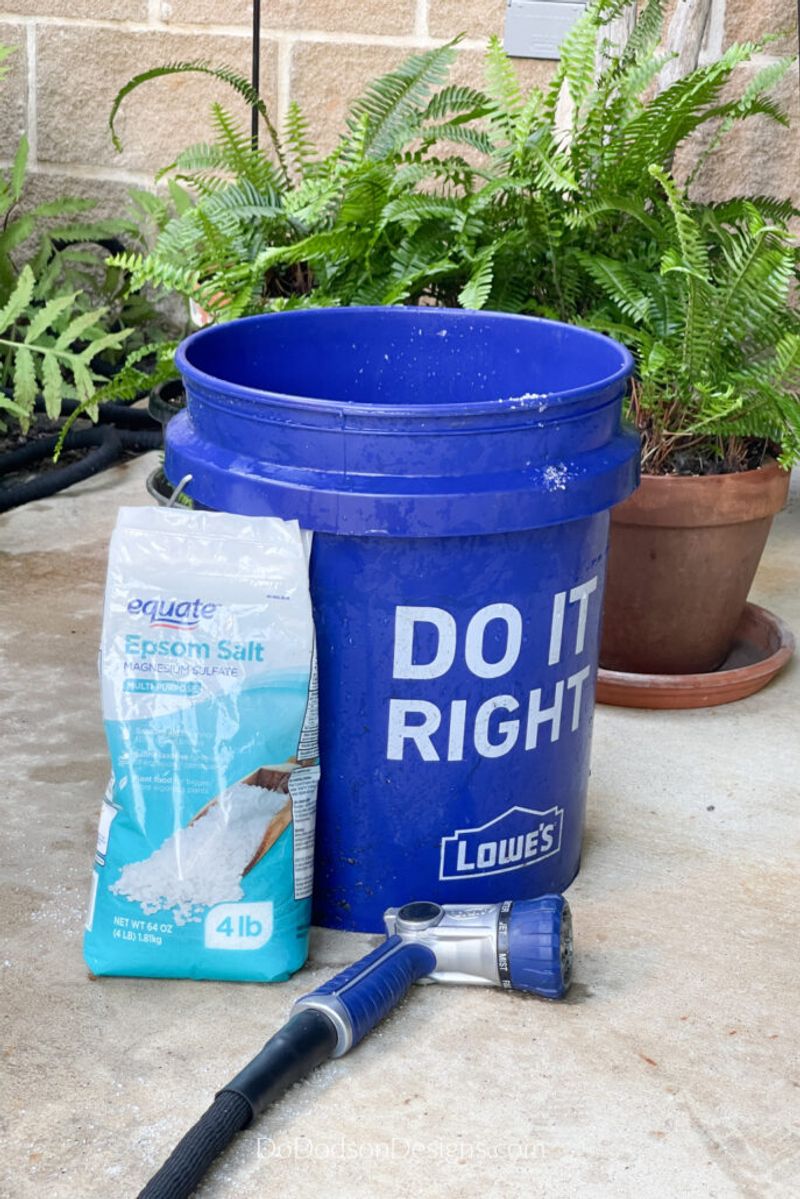 Epsom Salt