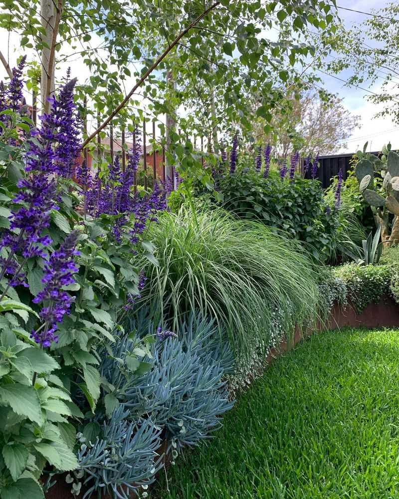 Succulents and Ornamental Grasses