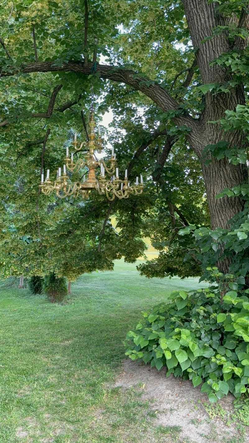 Chandeliers And Light Fixtures