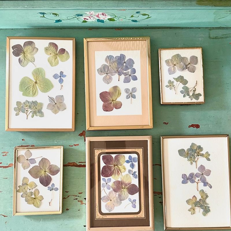 Pressed Flower Frames