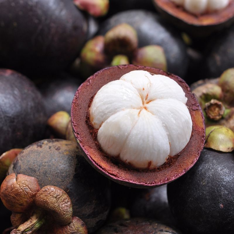 Mangosteen
