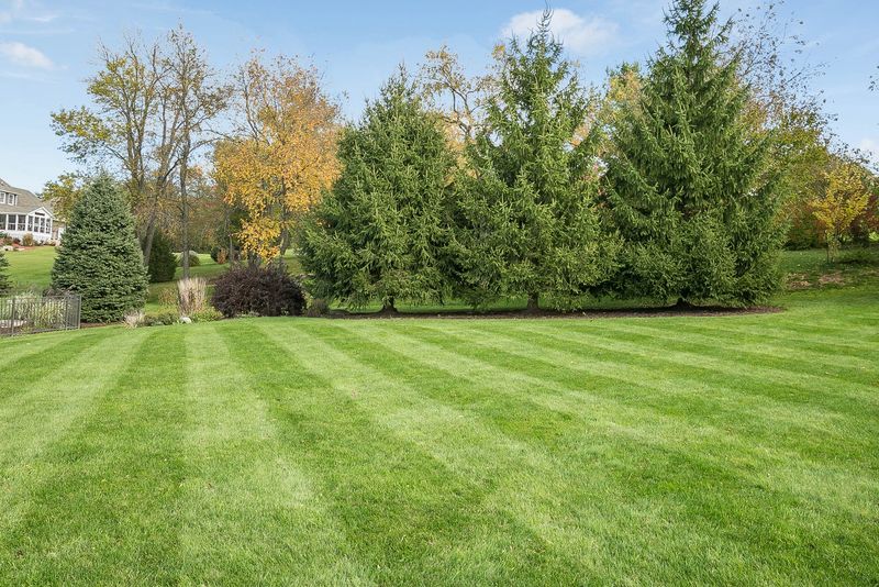 Overseed Bare Spots