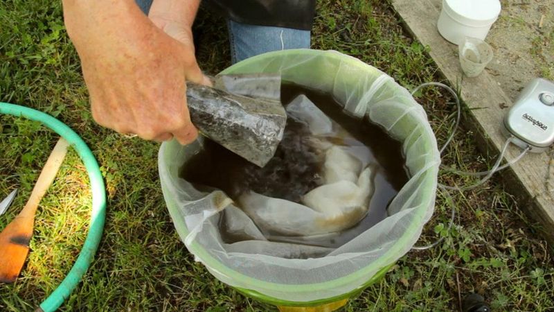 Brew Compost Tea For Micronutrients