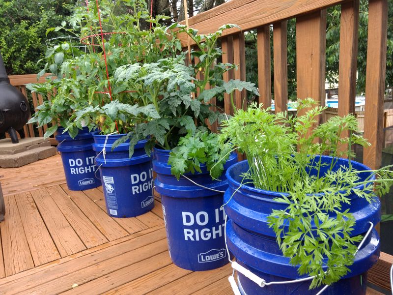 Use Self-Watering Containers