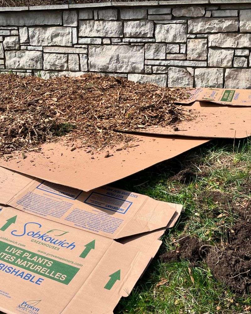 Lay Down Cardboard Barriers
