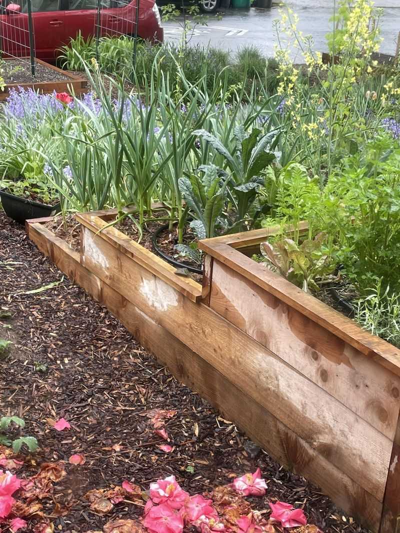 Install Simple Irrigation