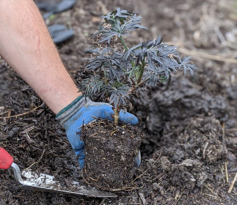 Fertilize With Purpose