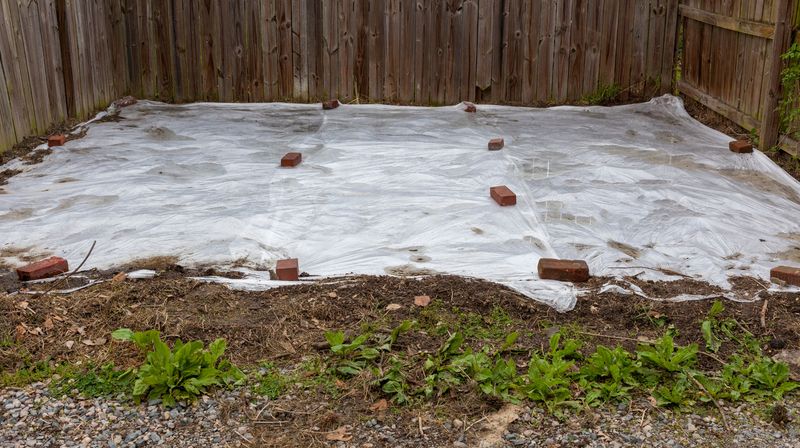 Solarize Problem Areas
