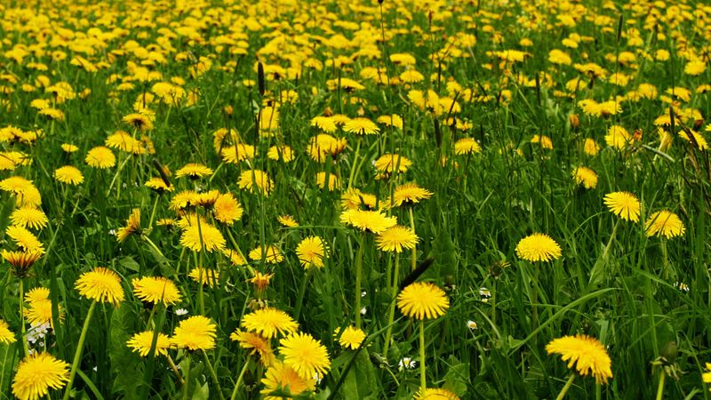 Create A Seasonal Management Calendar