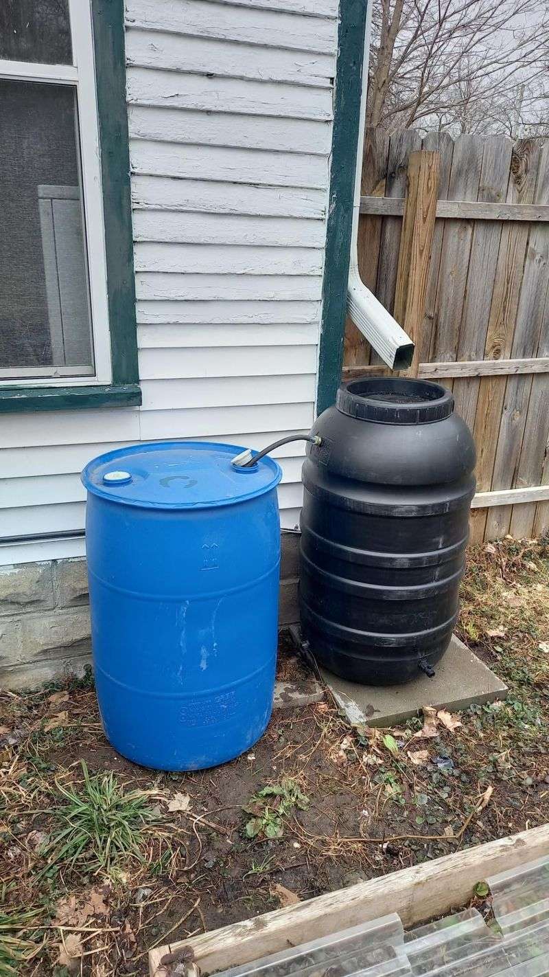 Harvest Rainwater in Barrels