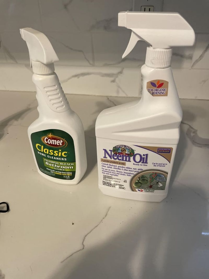 Try neem oil spray