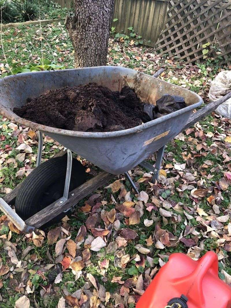 Over-Relying on Coffee Grounds