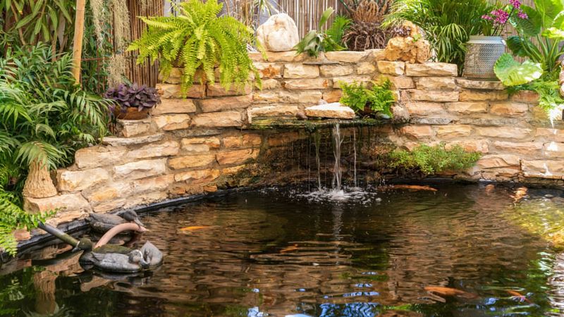 Elaborate Water Features